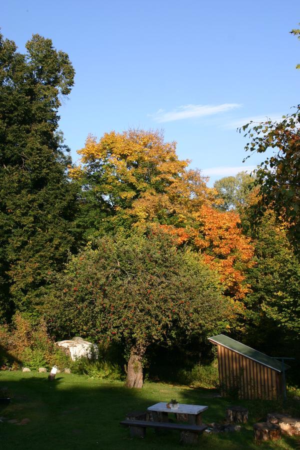Jeleni Skladanka Lodge *