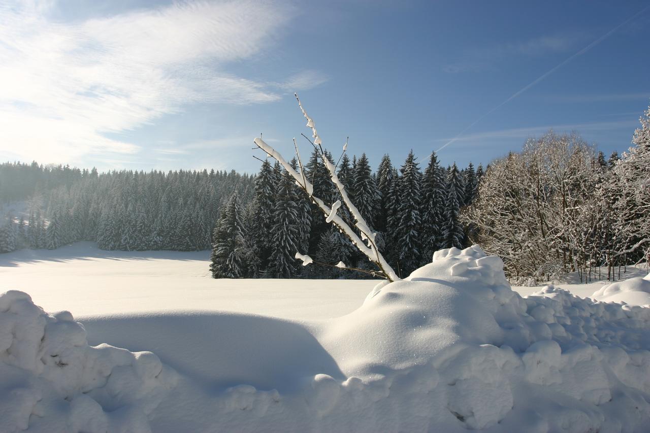 Lodge Jeleni Skladanka Lučany nad Nisou